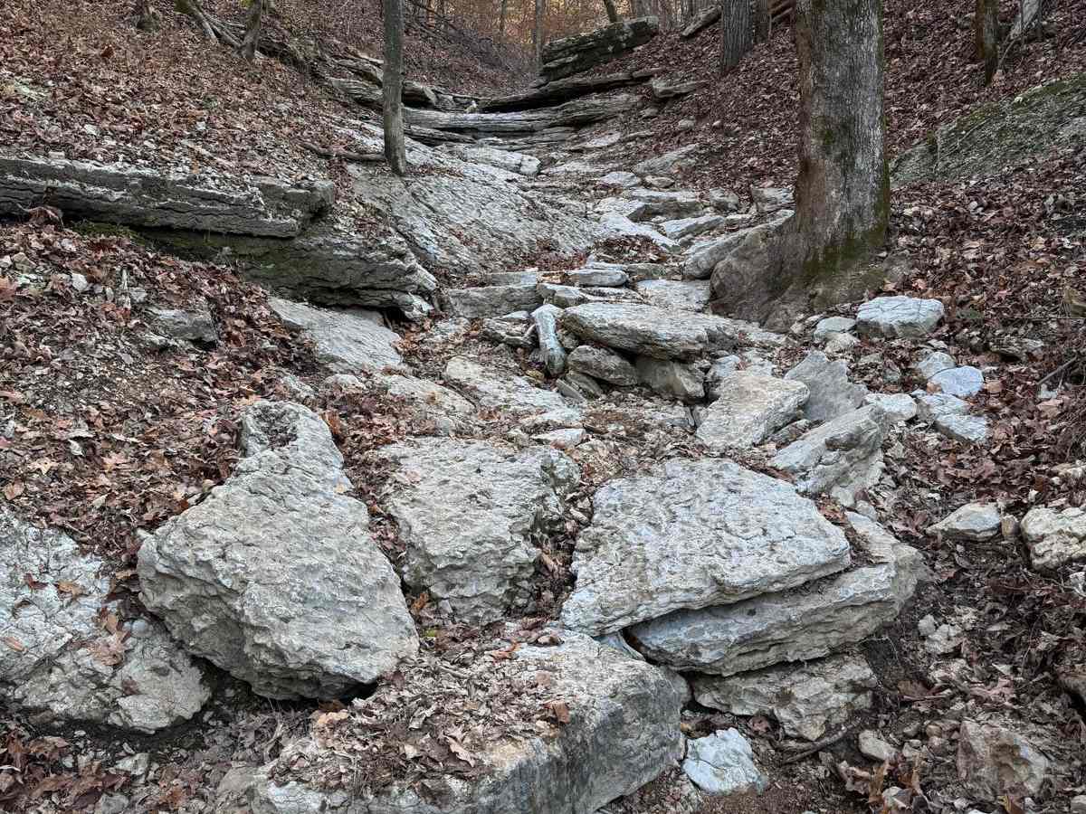 Hixon Hollow 177 photo 5