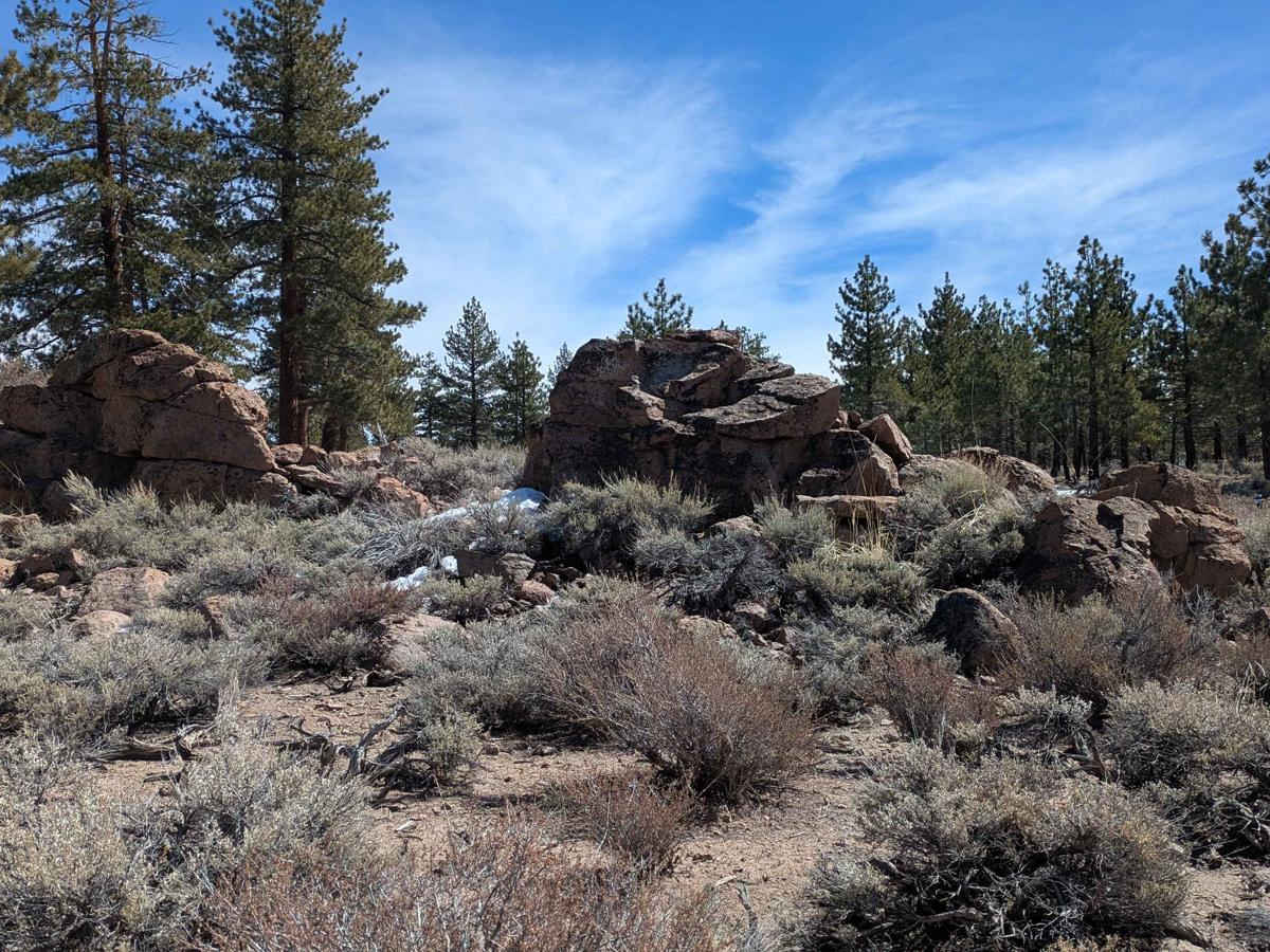 Round Mountain Loop - FS4S55 photo 6