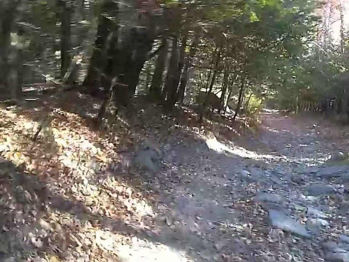 Baker & Cruff Roads photo 5
