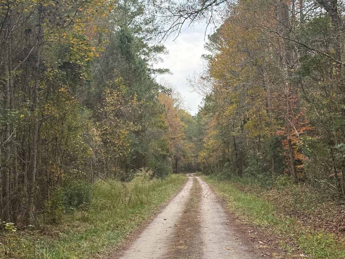 Crooked Road photo 4