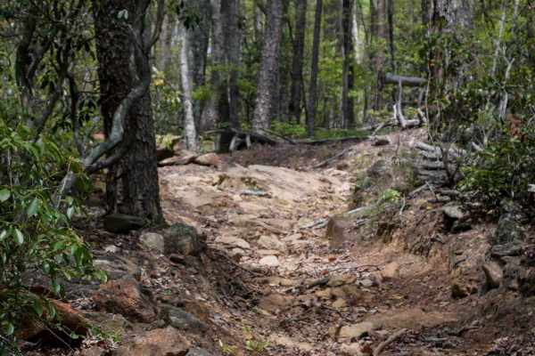 Copperhead Trail B