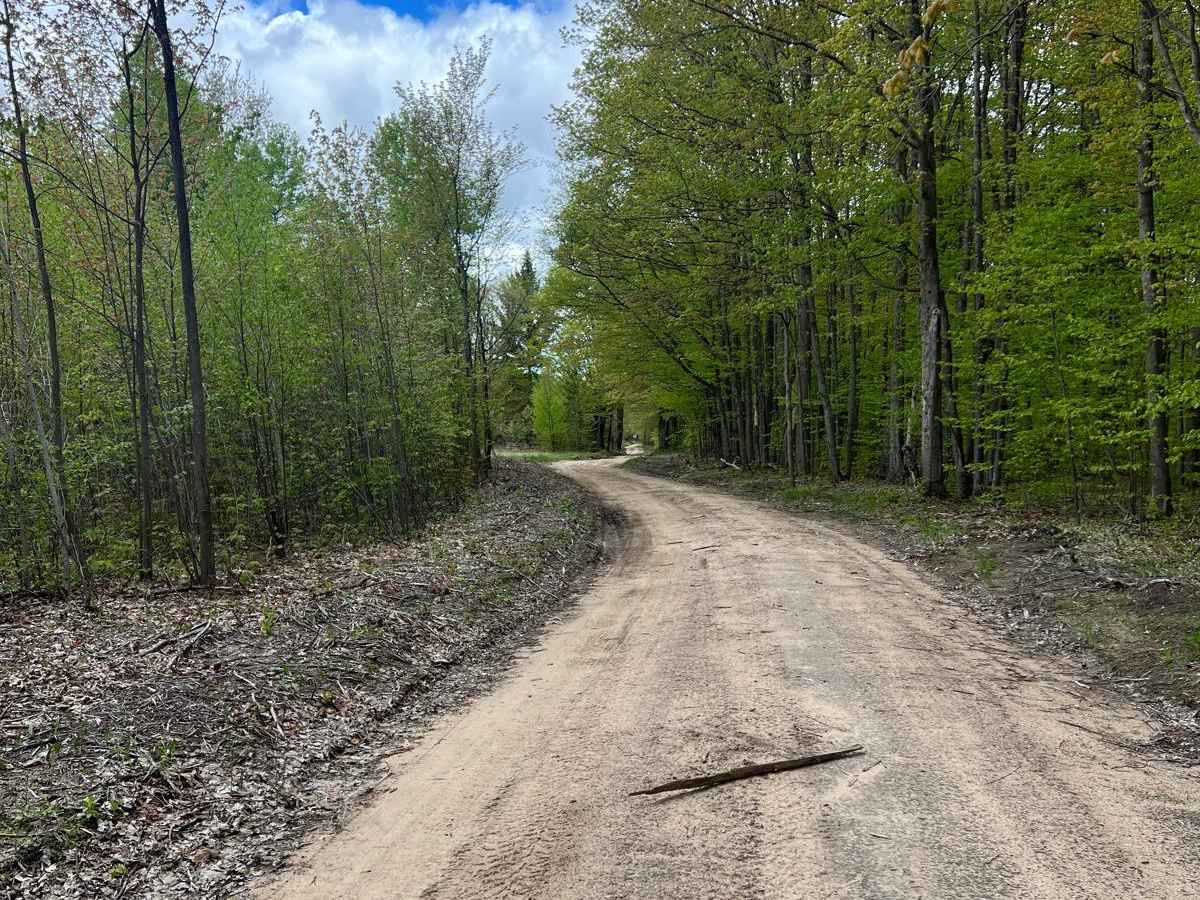 Matchett Trail photo 5