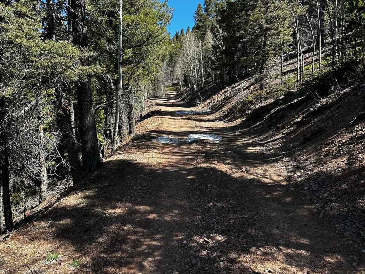 Roundtop Mountain Road - 321 photo 3
