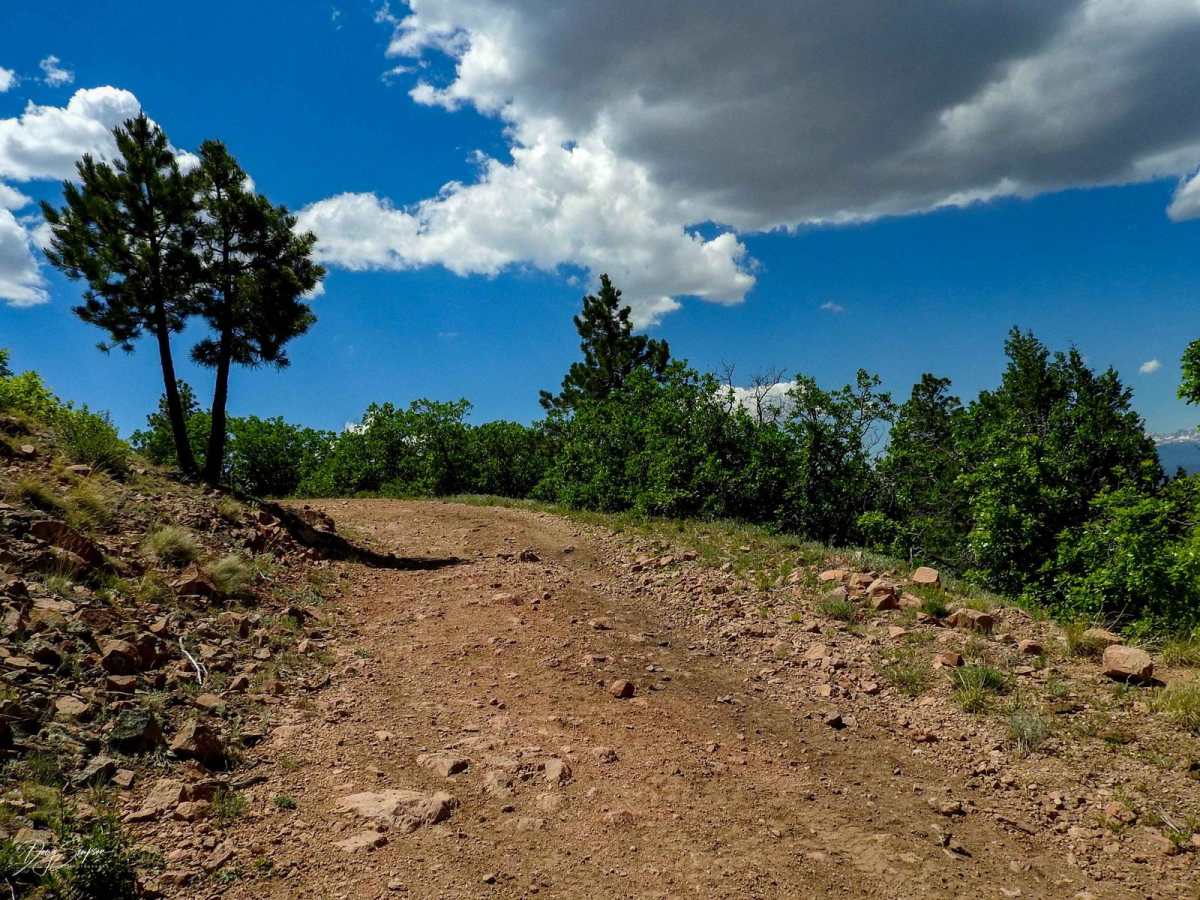 Turkey Creek Forest Road 637 photo 3