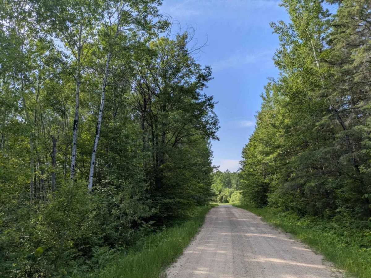 FS 2420 trail photo