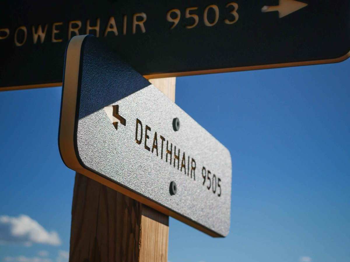 DeathHair photo 6