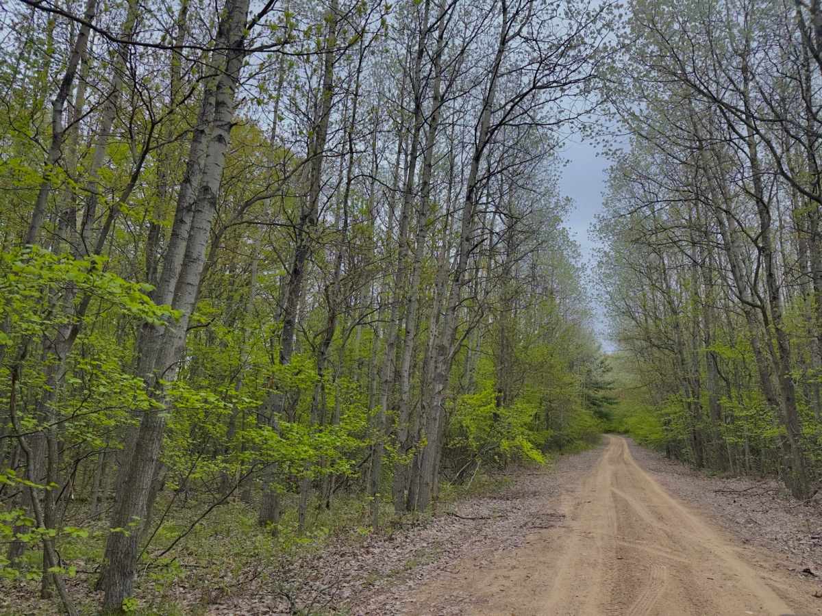 West Eden Mountain Road photo 4
