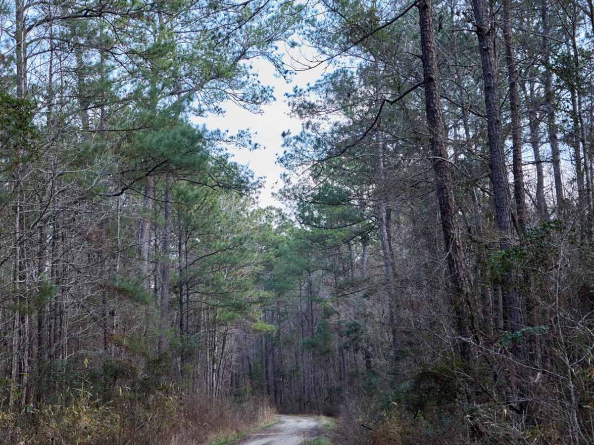 FSR124 - Freeman Road photo 3
