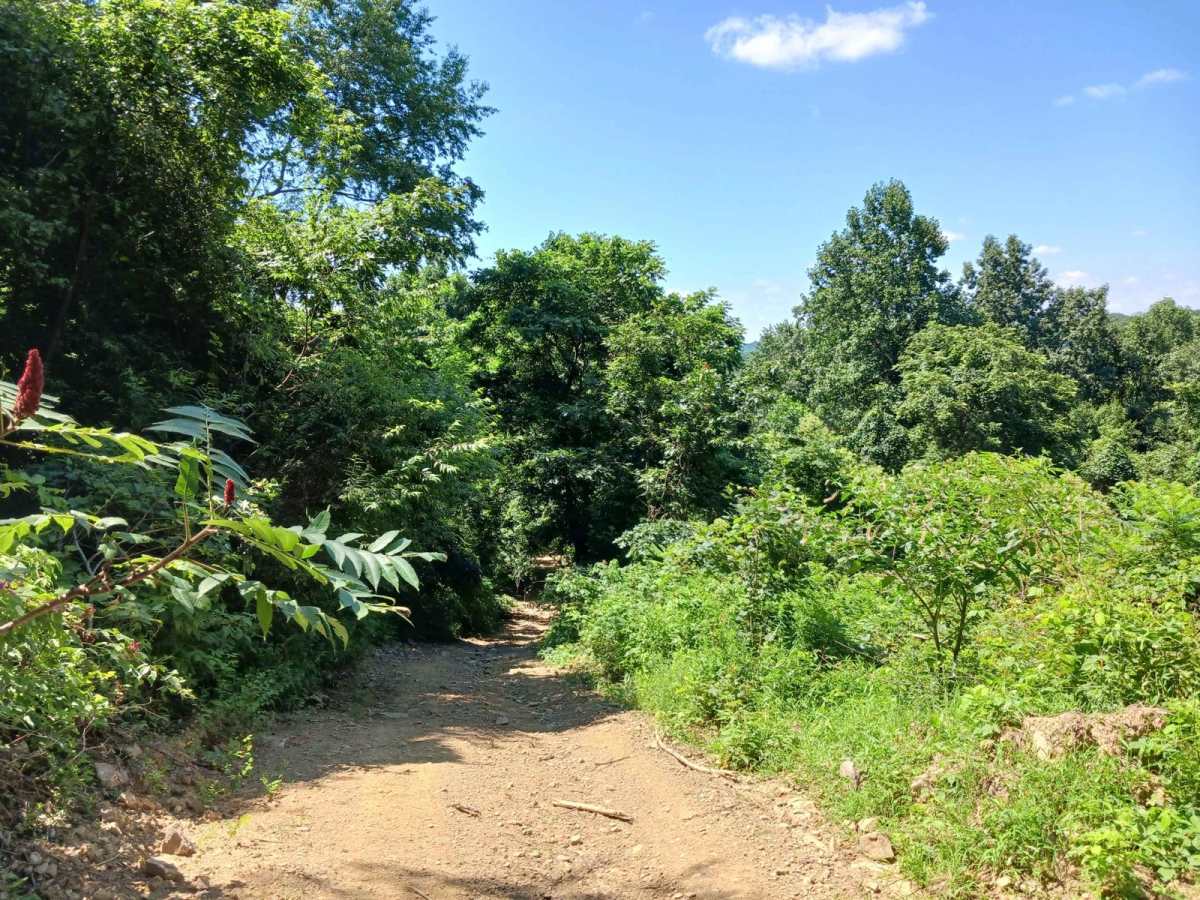 Hawk Lane - Rock Run Recreation Area photo 6