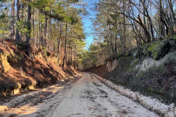 Gunter Pond Road