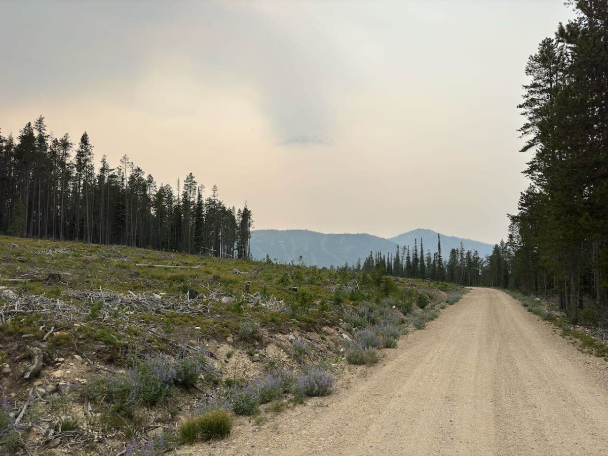 Gibbons Pass photo 5