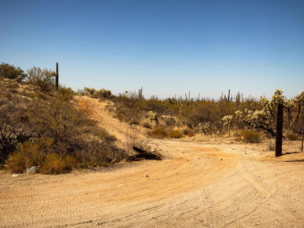 Paisano's Pathway trail photo