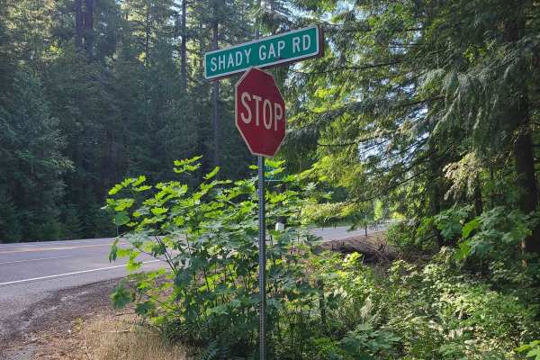 Shady Gap #5875