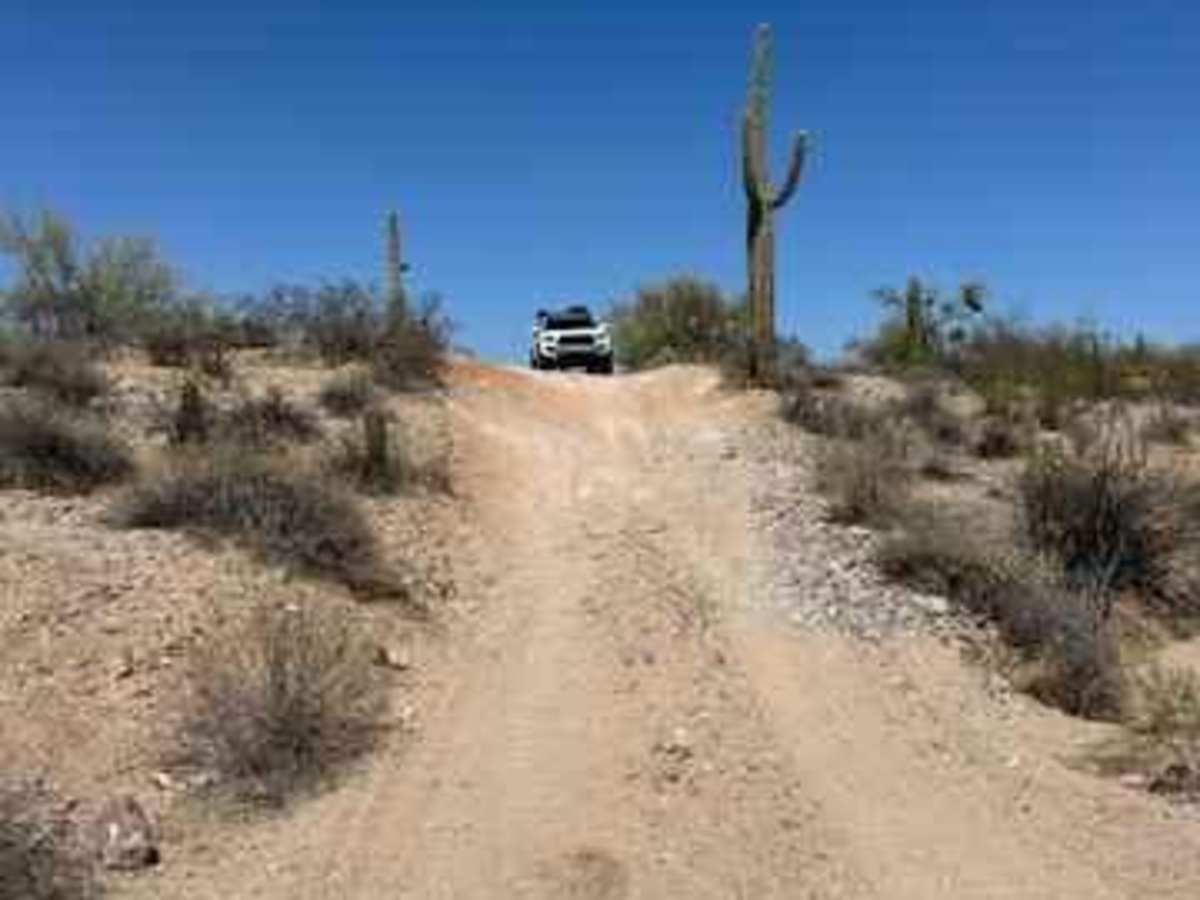 Sw3202 photo 4
