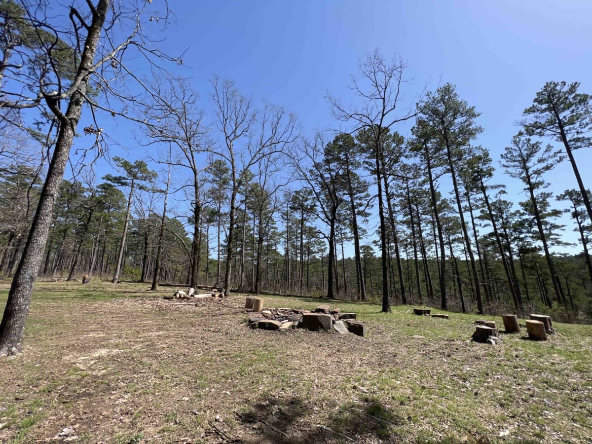 Taylor Branch 705 photo 5