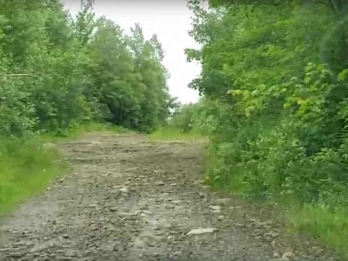 Maclean Settlement Road trail photo