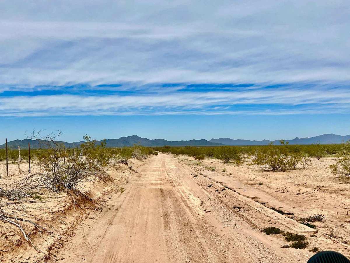 60 to the Tracks trail photo