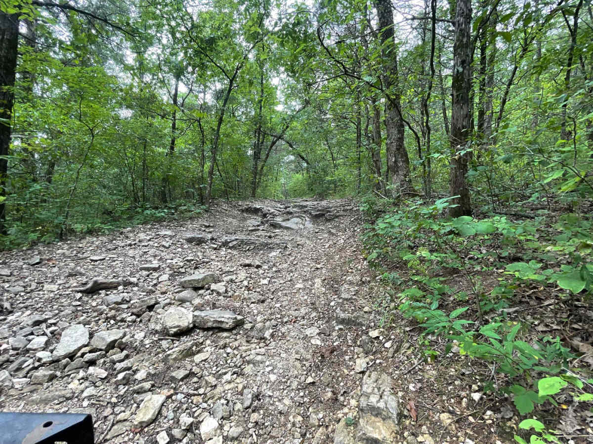 FR 1060 - Mary Cole Ridge photo 2