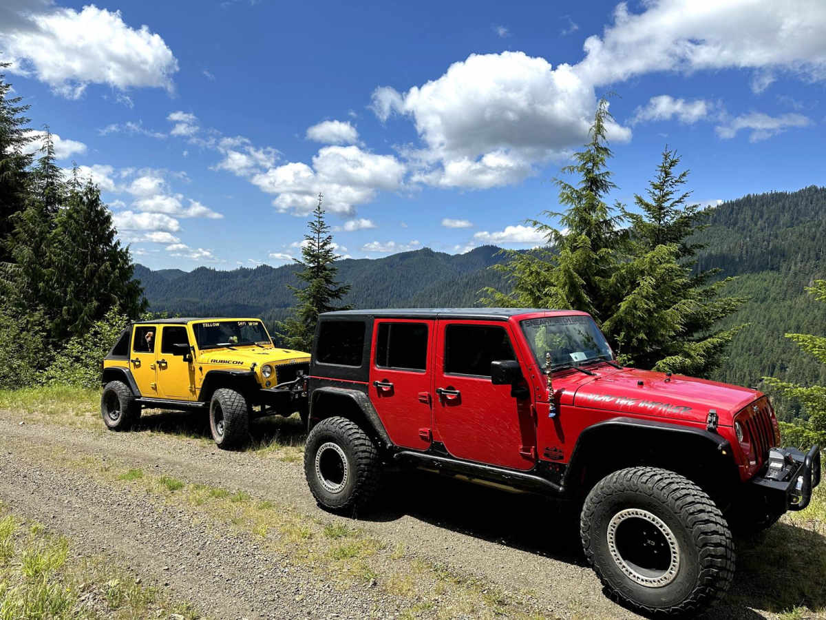 East Fork Humptulips Trail trail photo