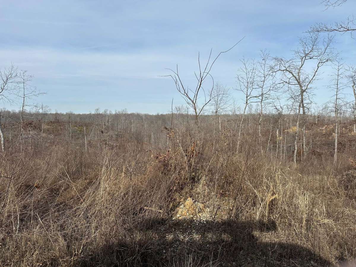 Stephens Chapel Road - FSR 415 photo 4