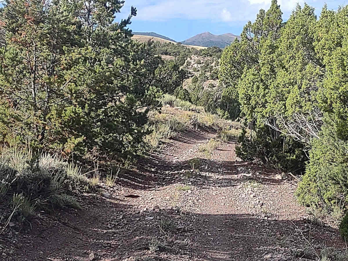 Revenue Gulch to Rainbow Road photo 2