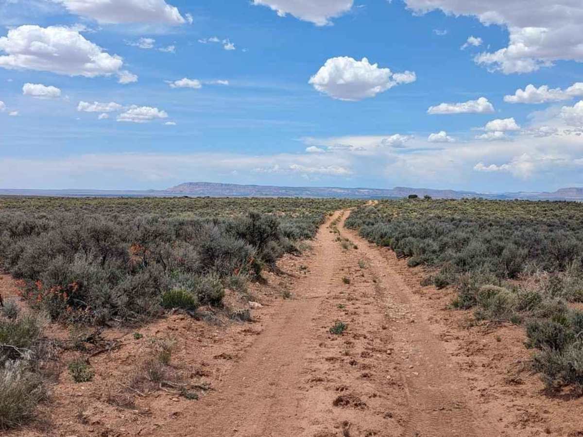 Swapp Tank Trail - BLM176 photo 2