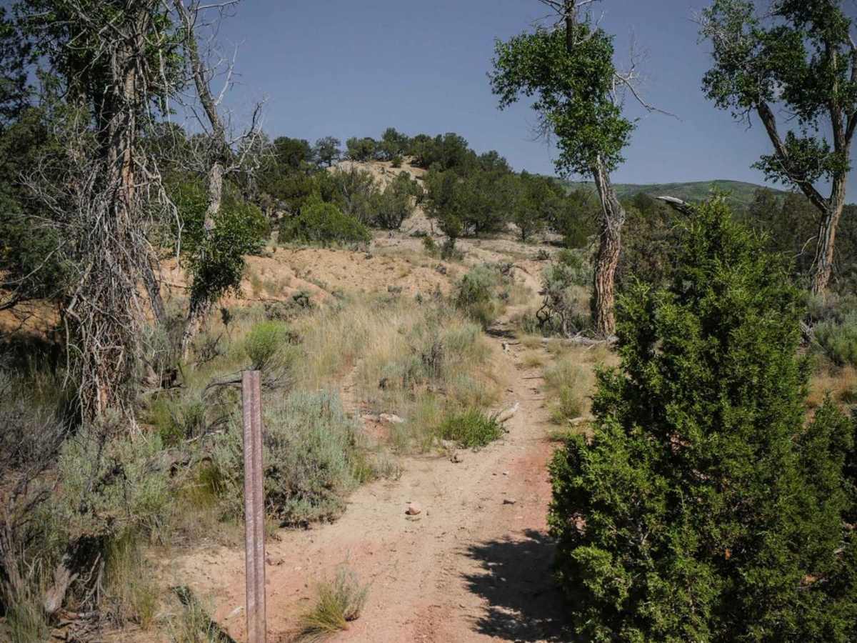 8601 trail photo