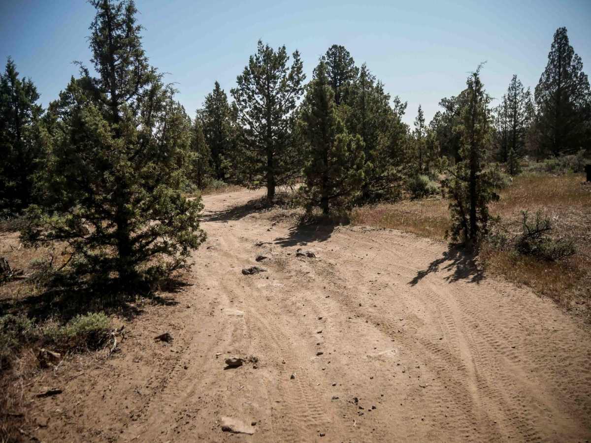 55 trail photo