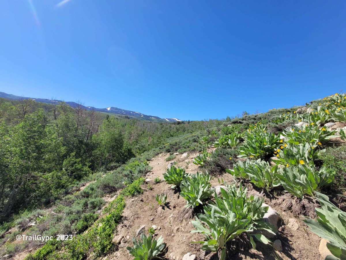 Burt Canyon Ridge Overlook photo 3