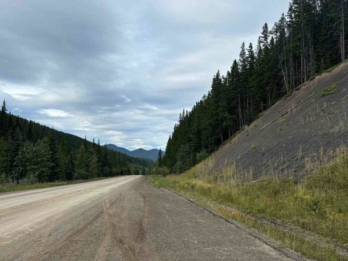 North Forestry Trunk Road photo 3