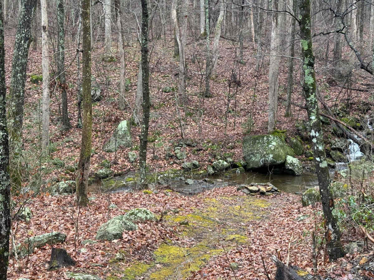 Hunting Creek photo 2
