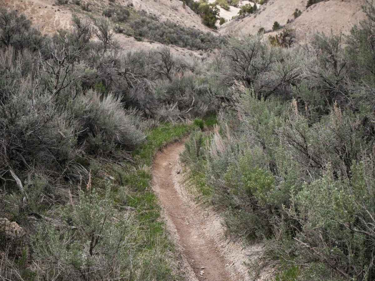 Tick Alley photo 4