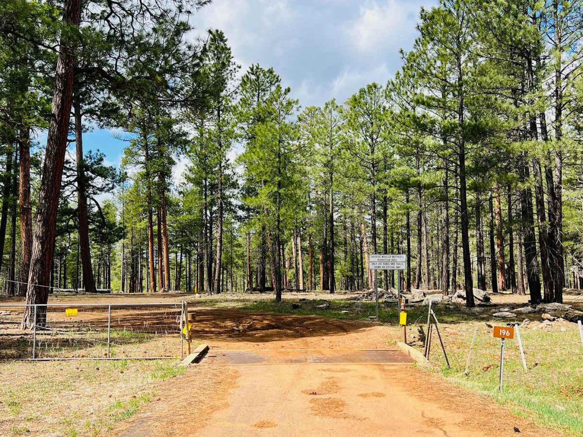 Iron Mine Draw FR-196 photo 4
