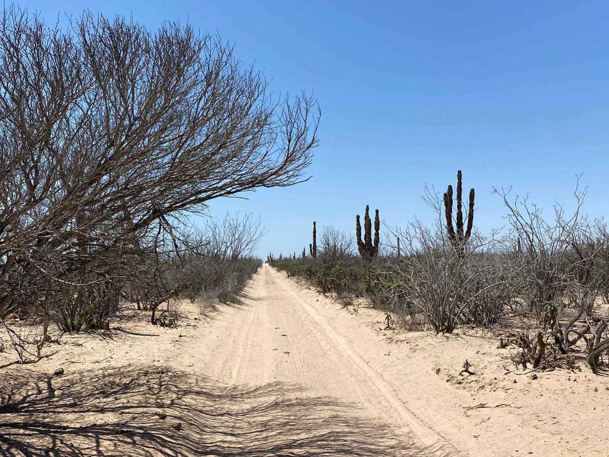 Middle Road East trail photo