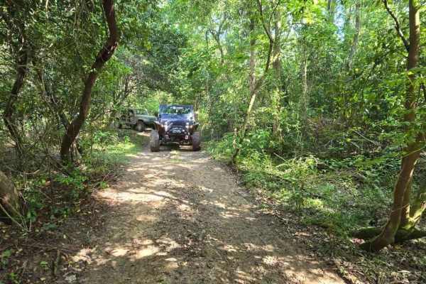 Trail 6