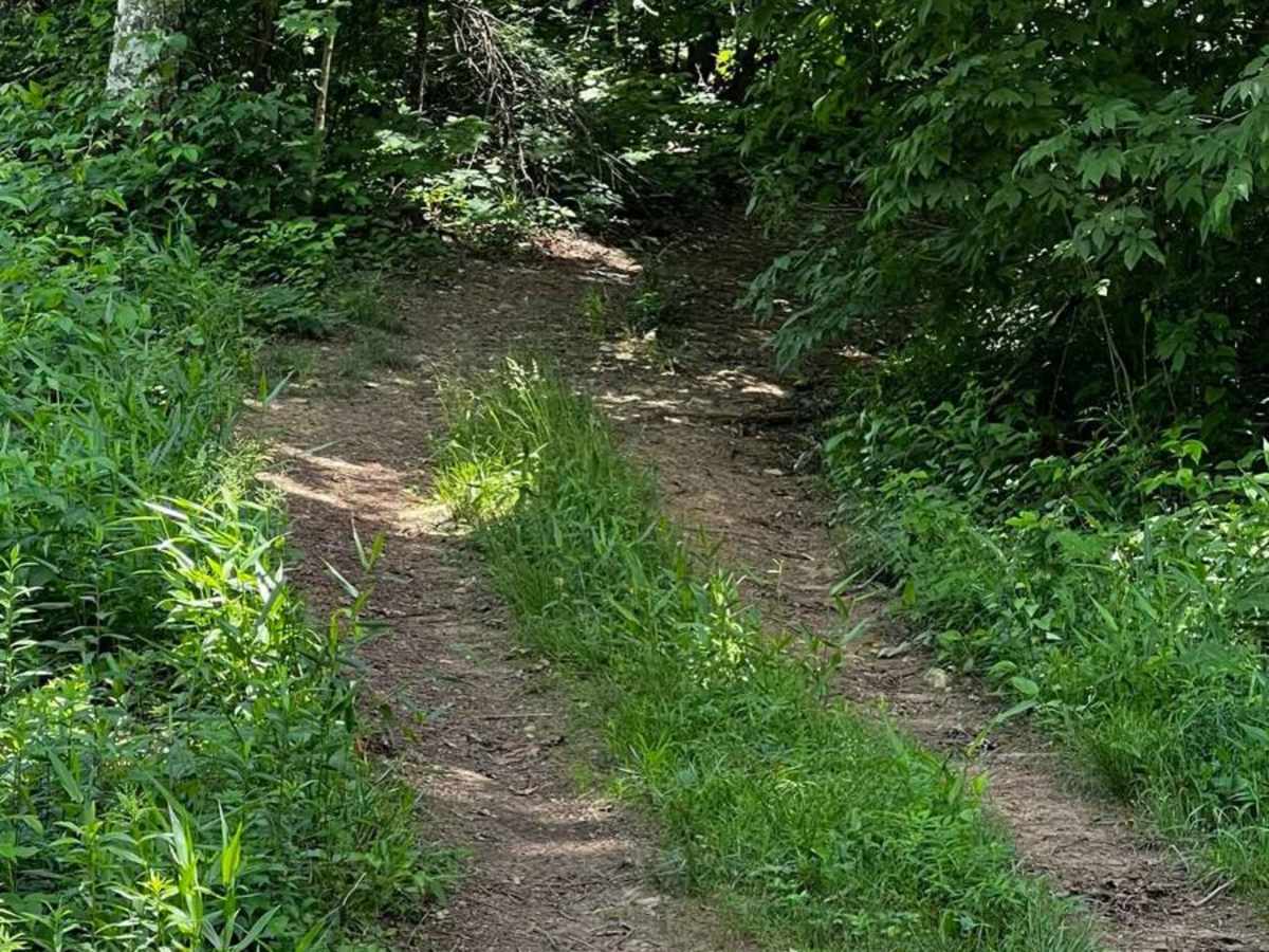 Gumlog Gap FS 95 photo 6