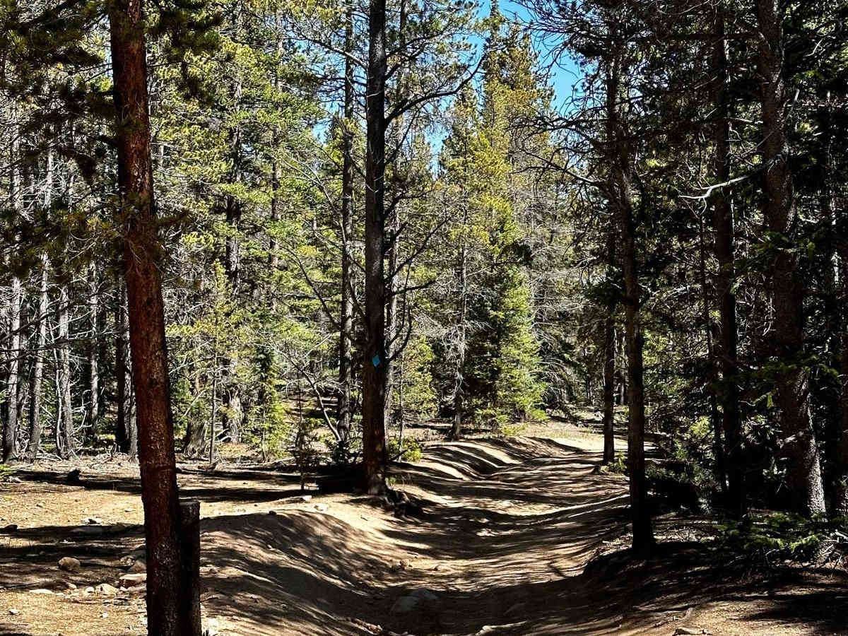 Lininger Ditch (FS 811A) photo 2