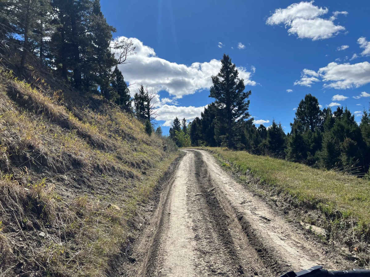 Gypsum Road - FS1244 photo 3