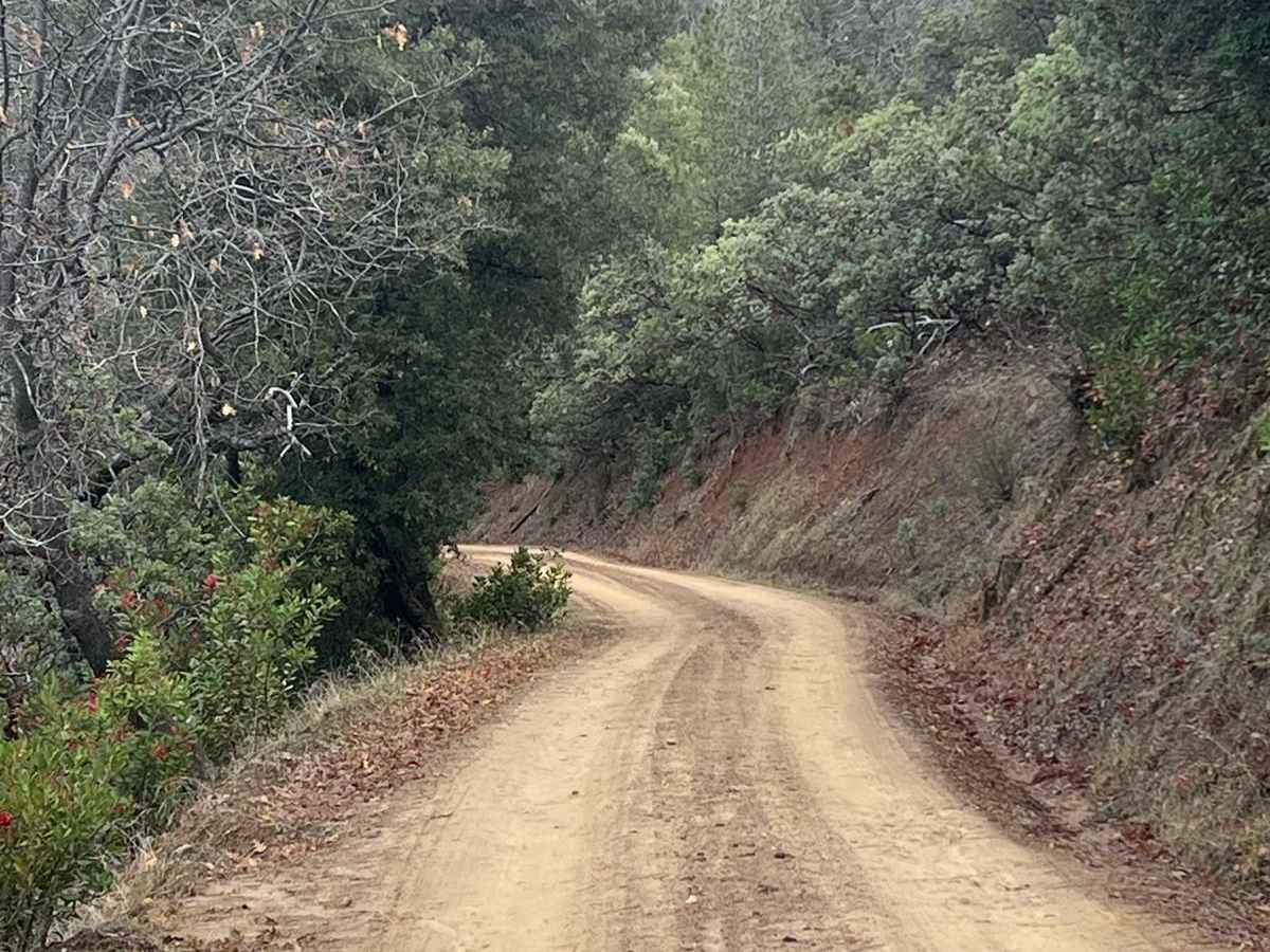 Stanislaus Forebay photo 2
