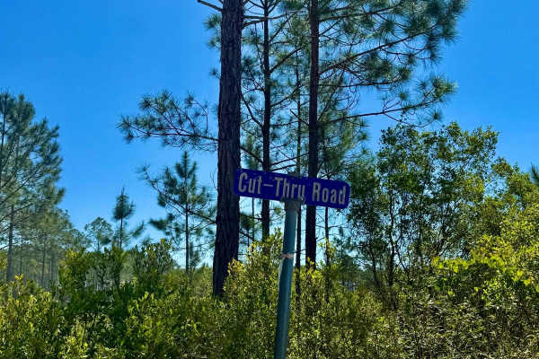 Cut Thru Road