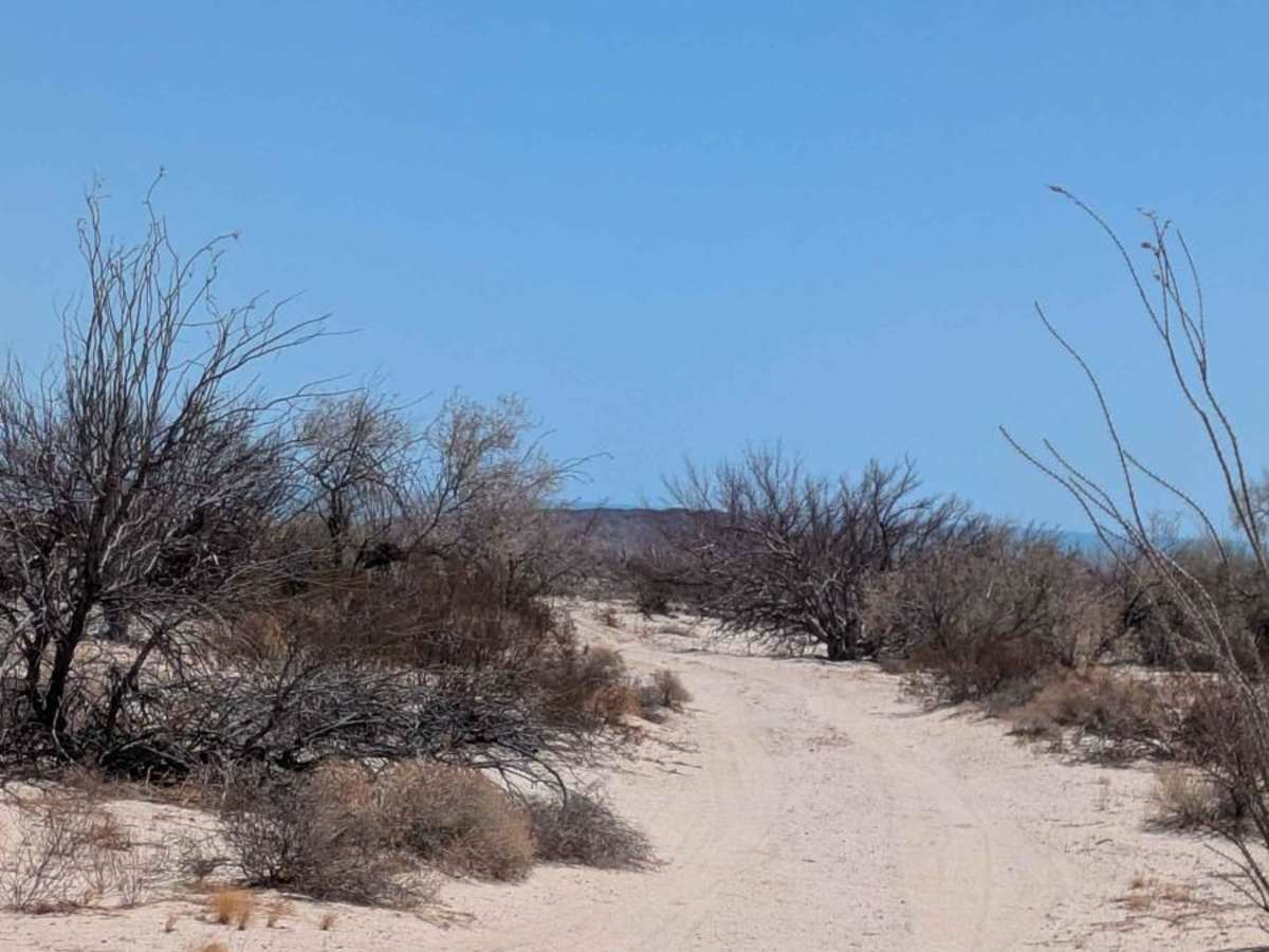 Los Cuevitas Ridge Trail trail photo
