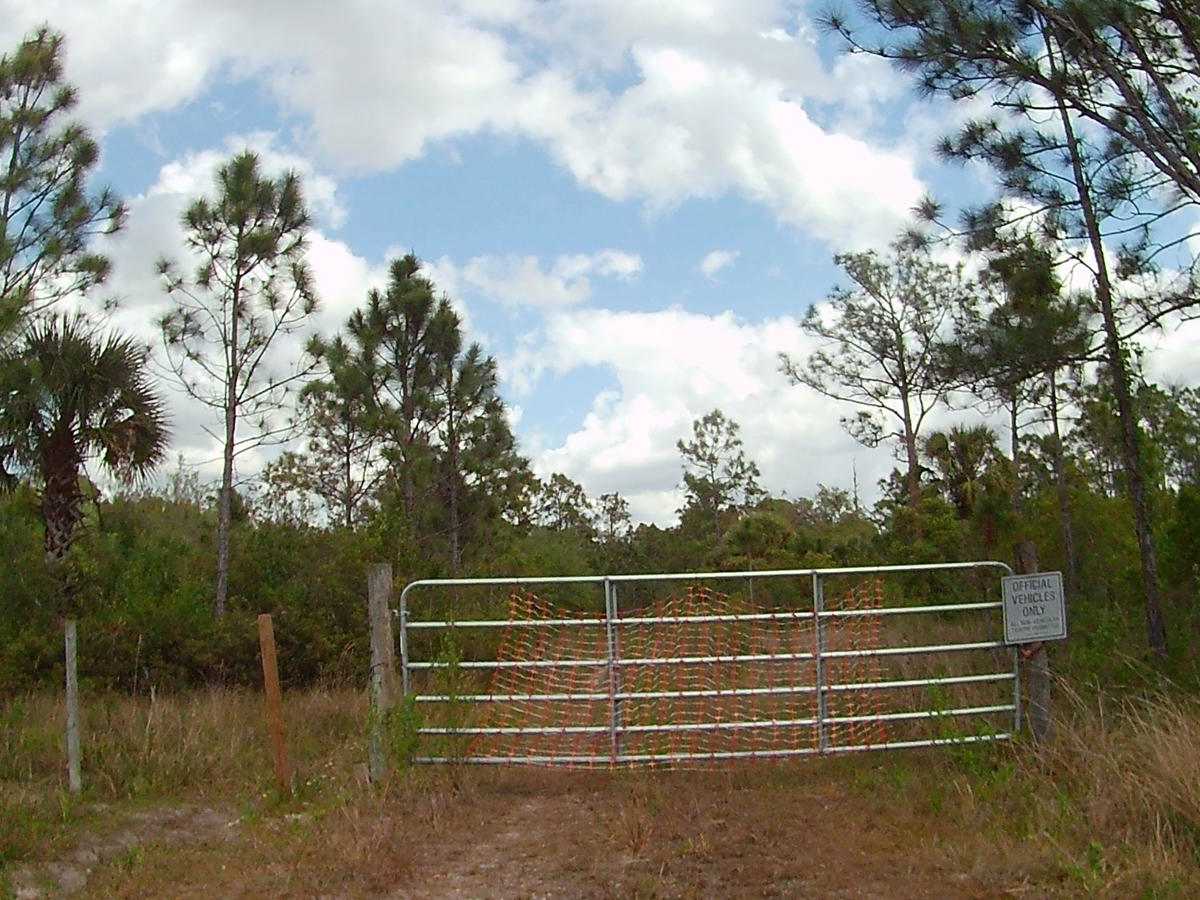4 Sections Road photo 6
