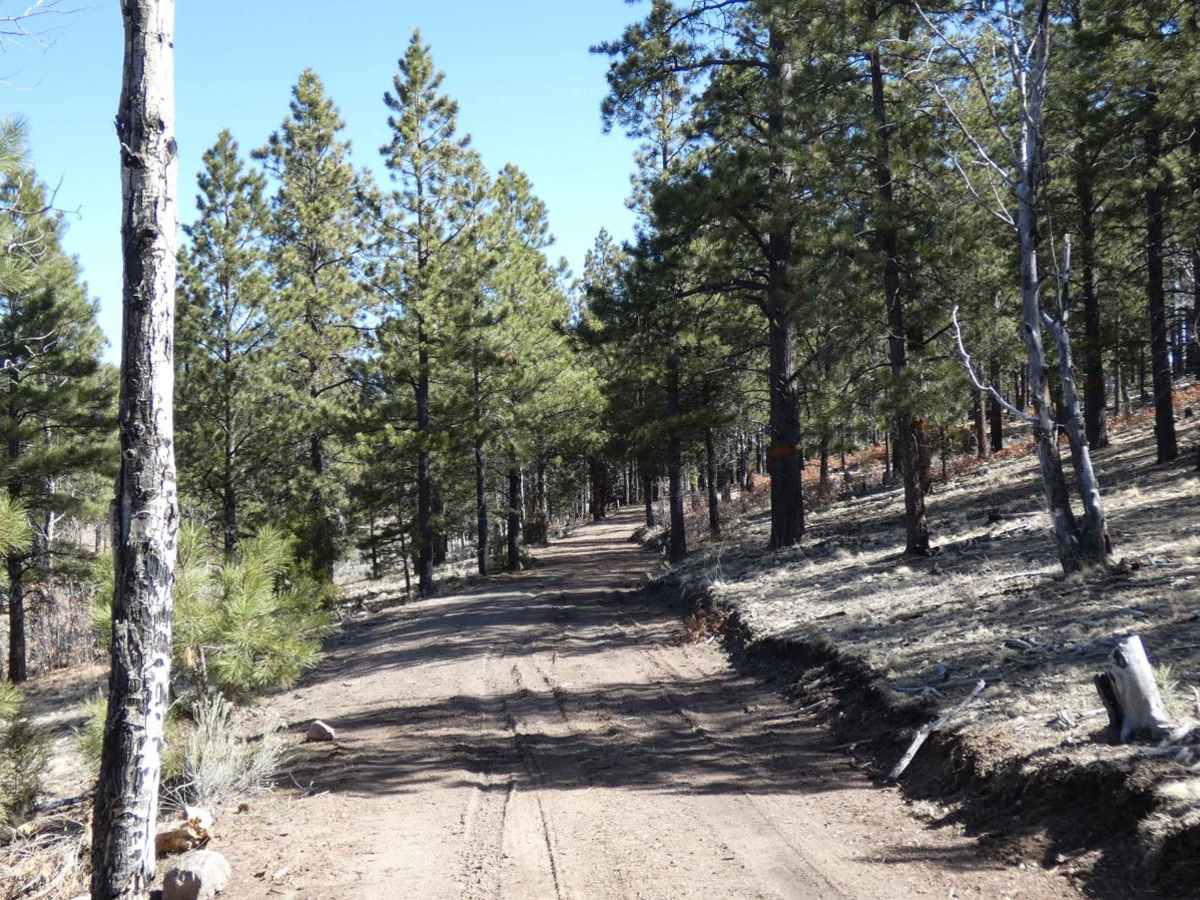 Tusas Ridge photo 6