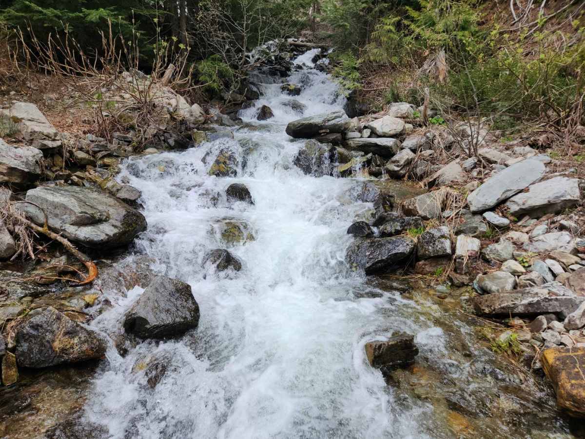 South Fork Bull River trail photo