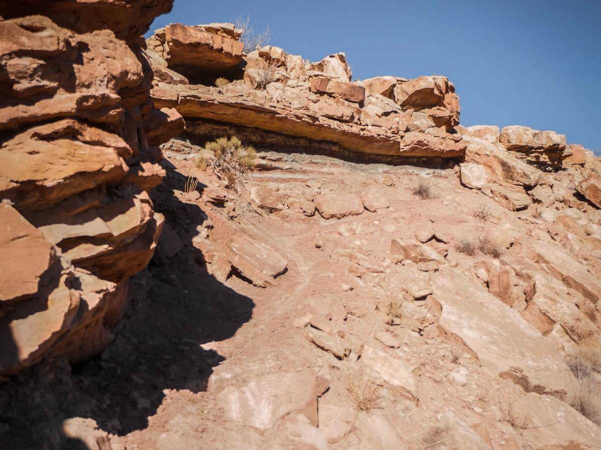 Link 4 (Difficult) trail photo