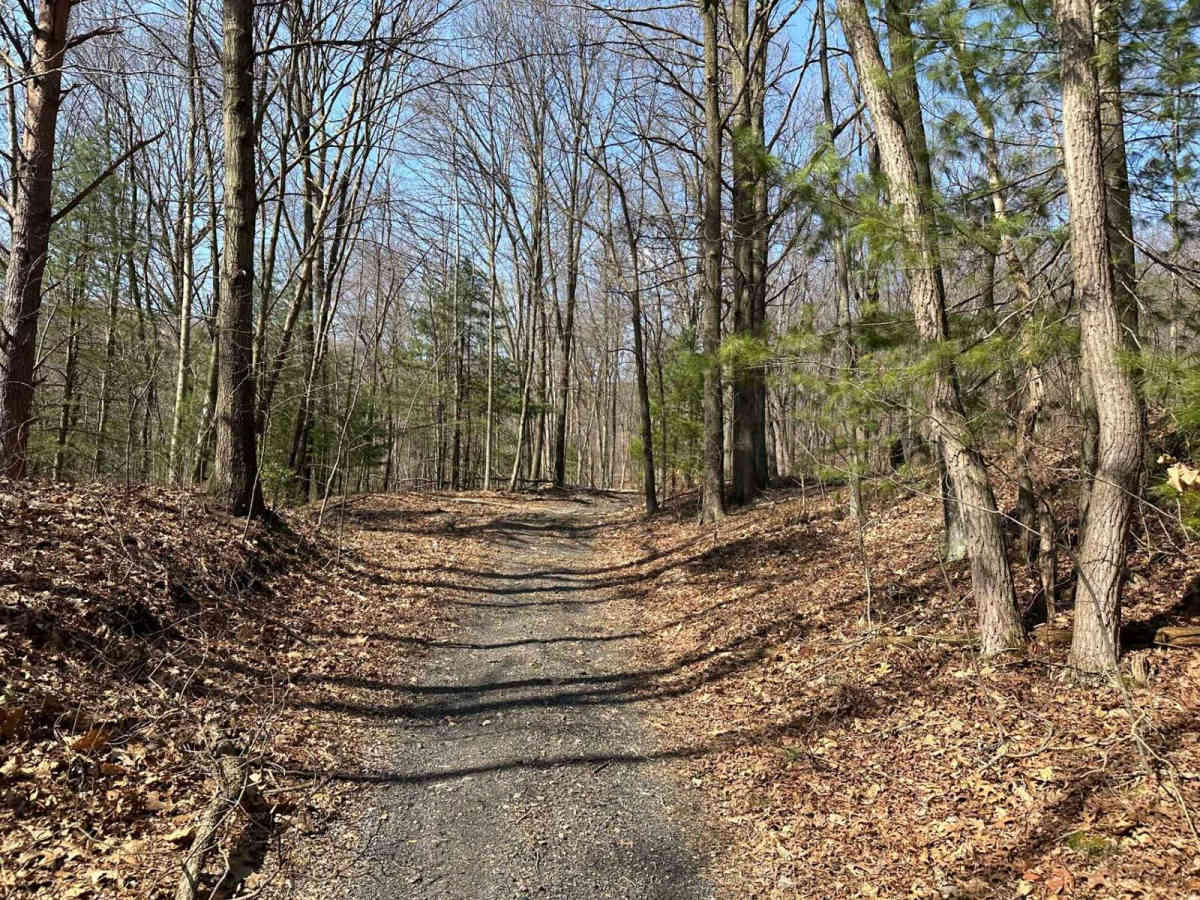 Ashland 103 photo 2