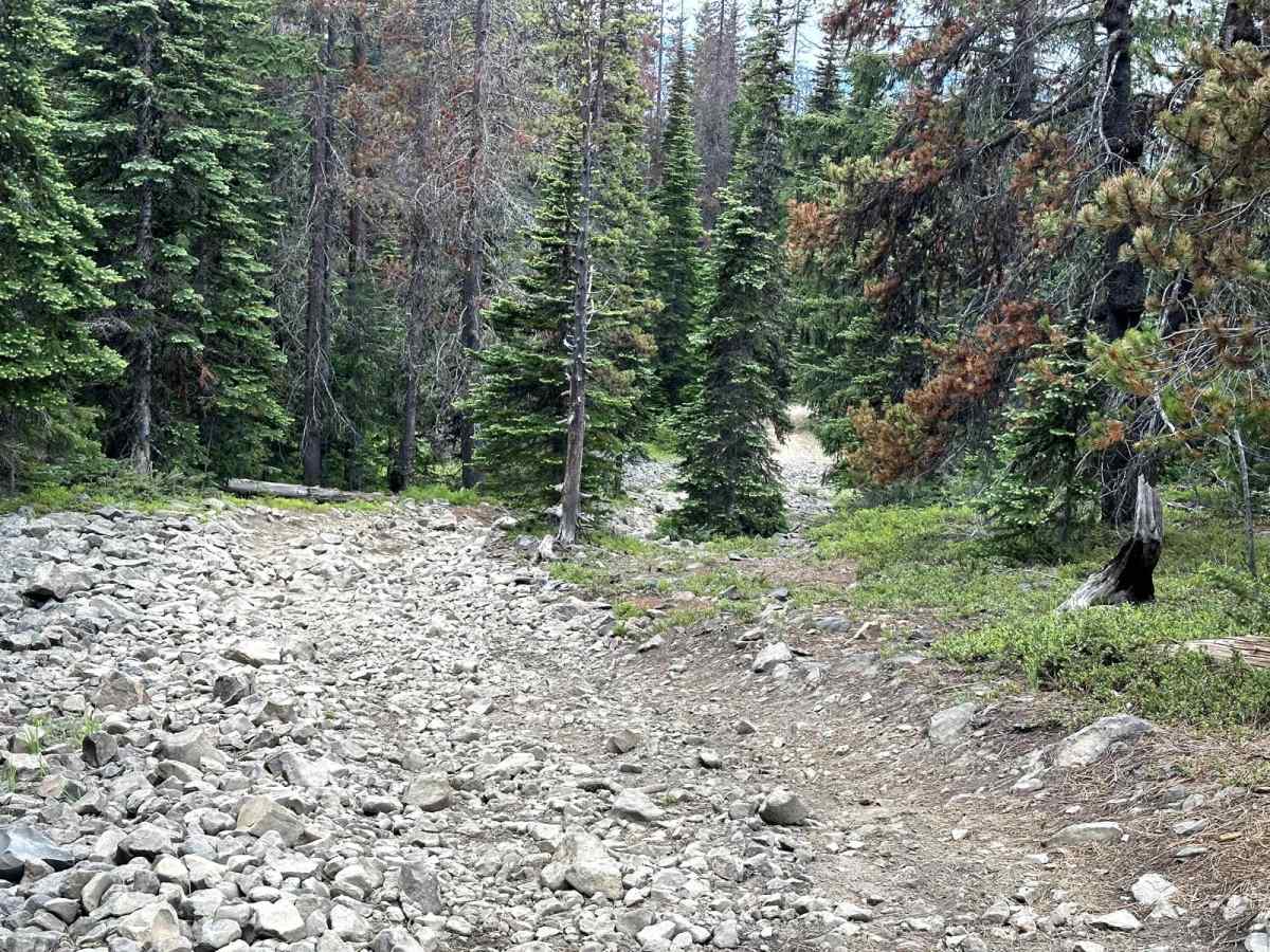 Upper Kaner Ridge Trail photo 4