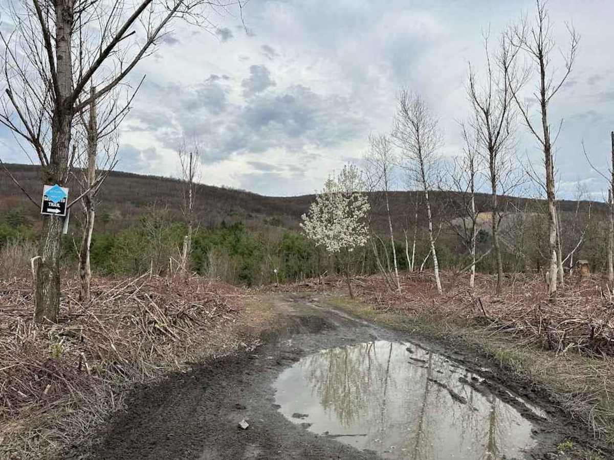 Minersville Short Cut photo 6