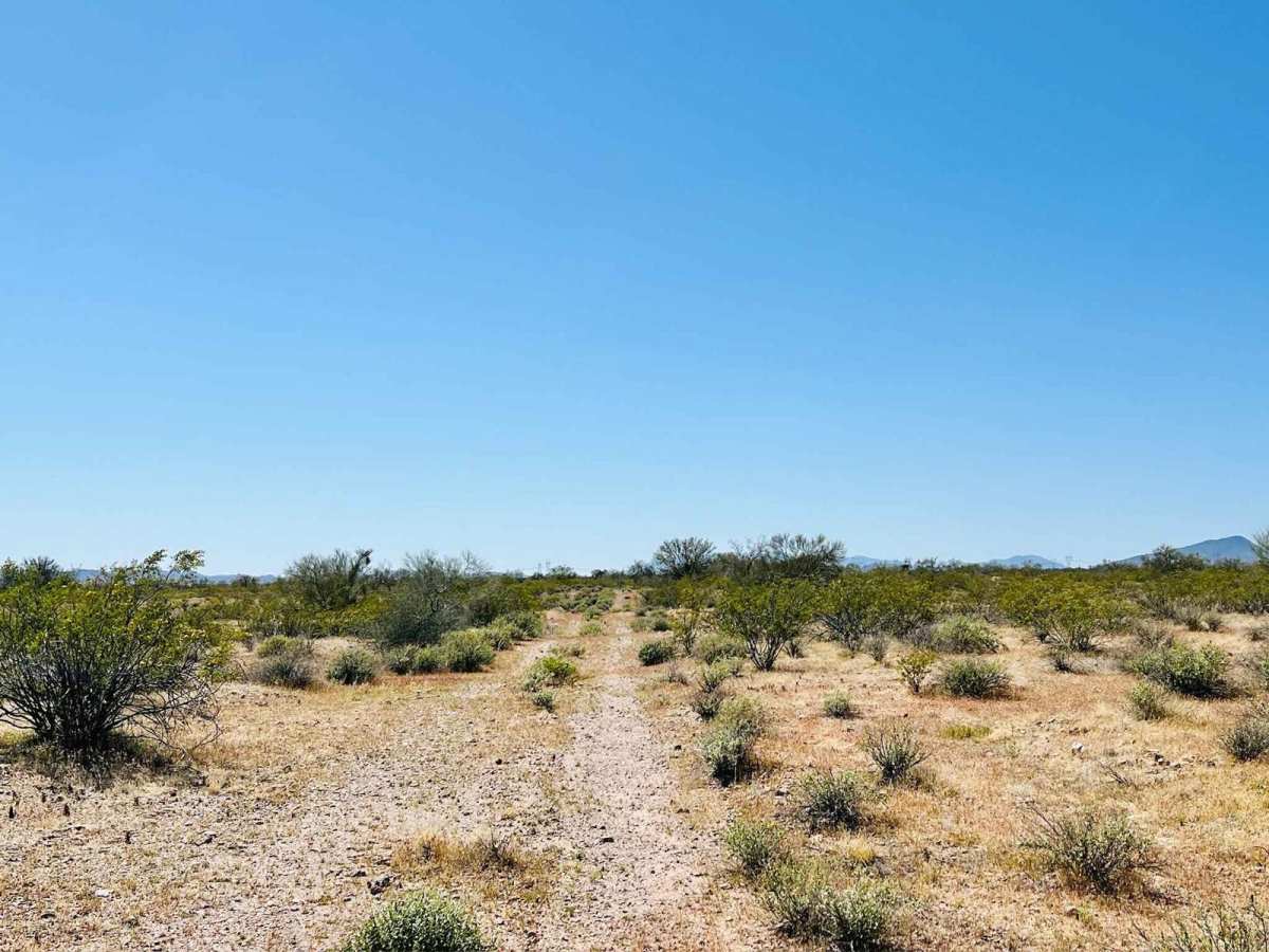 BLM 9090a Dead End photo 5