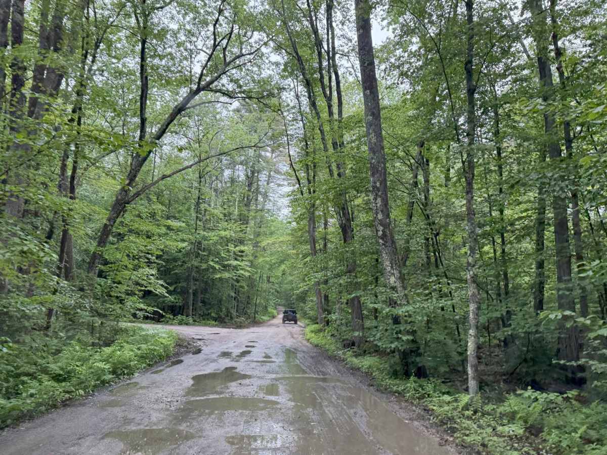 Old Windsor Mountain Road to Sulpher Hill Road trail photo